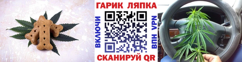 mega зеркало хочу Городец Cannafood марихуана