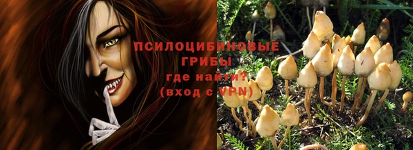 PSILOCYBIN Слюдянка
