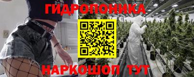 СК Гай