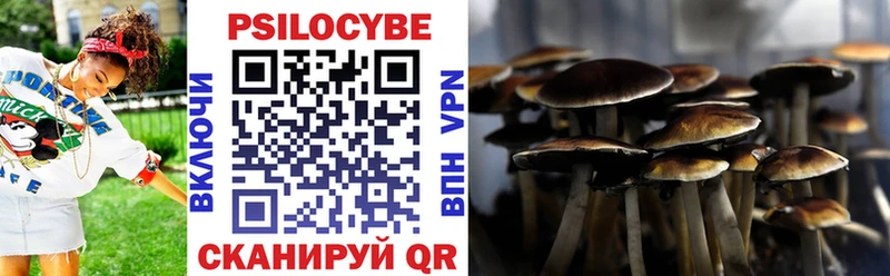 гидра вход  Городец  Галлюциногенные грибы Psilocybine cubensis  продажа наркотиков 