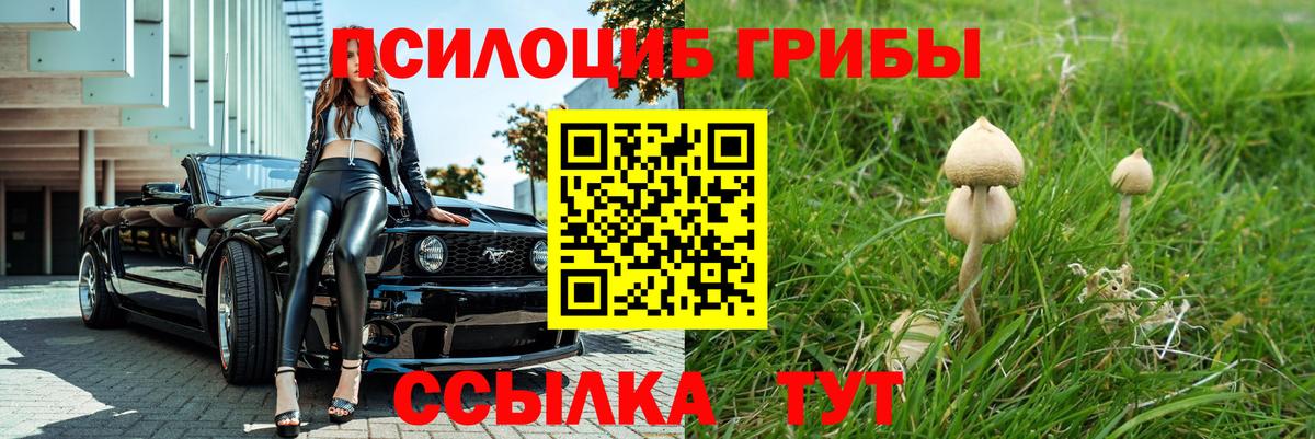 Галлюциногенные грибы Magic Shrooms Городец