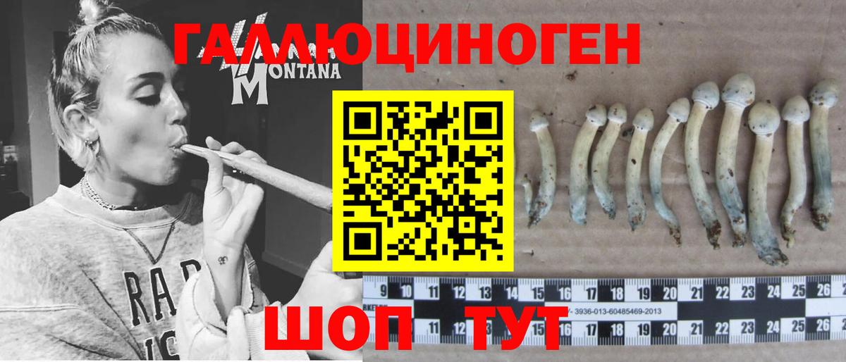 Городец  Галлюциногенные грибы ЛСД  Вход с VPN 