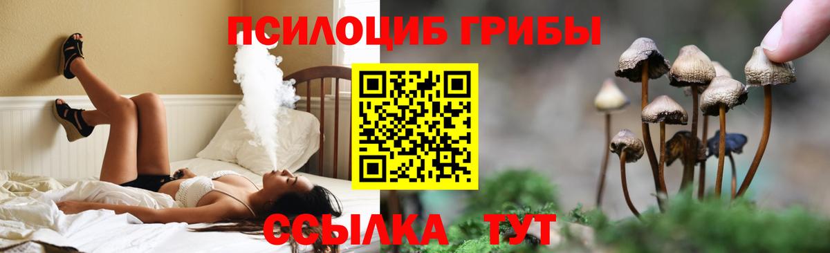 Псилоцибиновые грибы мухоморы Городец